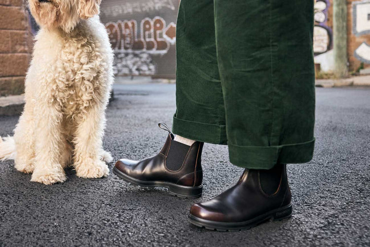 Blundstone #2506 Coffee Brush